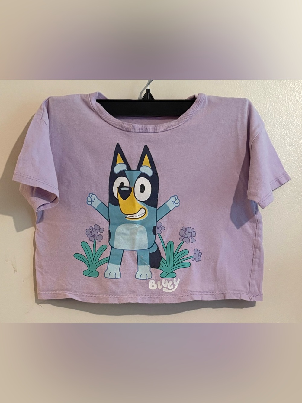 Bluey Kids Tshirt XSmall 4/5 kids clothes toddler play  clothes